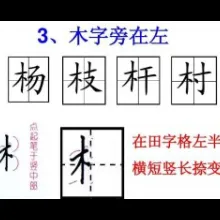 杨