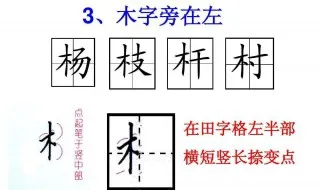 杨