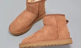 皮料